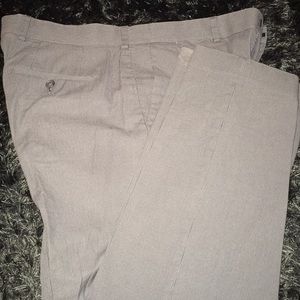 Express Dress Pants